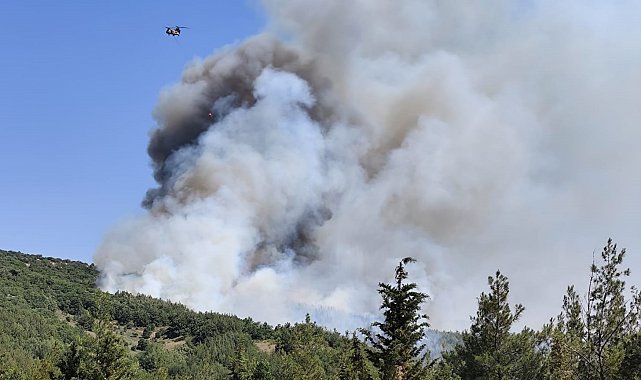 Balıkesir'deki orman yangınına müdahale ediliyor