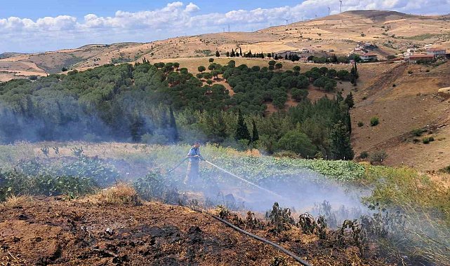 Balıkesir'in Altıeylül ilçesinde 2 arazi yangını
