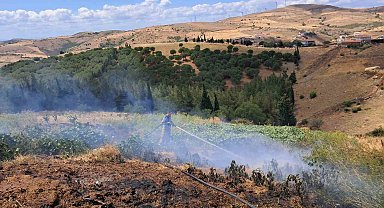 Balıkesir'in Altıeylül ilçesinde 2 arazi yangını