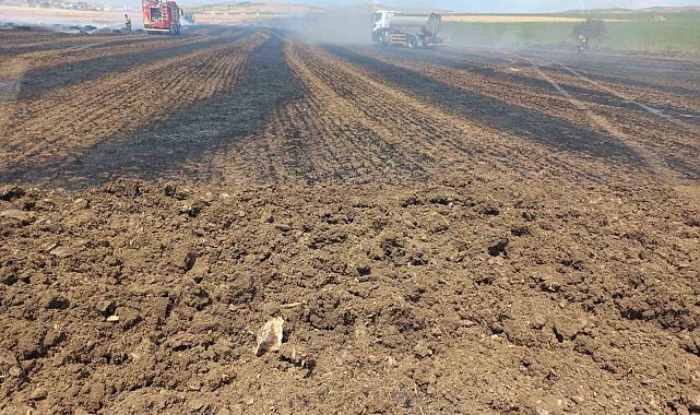 Bandırma Kayacık kırsalında anız ve ekili alan yangını korkuttu