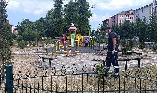 Bartın'da kene ile mücadele