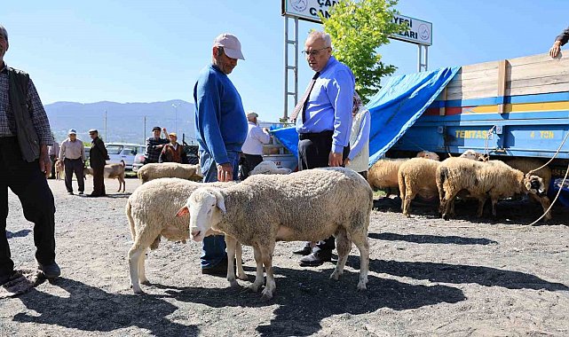 Başkan Arslan; "Üreticilerimizin emeğiyle, hemşehrilerimiz güvenle kurbanlıklarını temin ediyor"