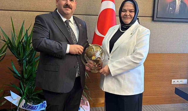 Başkan Serhat Hamamcı'nın Ankara temasları devam ediyor