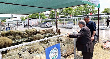 Başkan Yalçın'dan kurban pazarı ziyareti: "Bu alan hem emeğin hem duaların buluşma noktası"