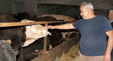 Başkentliler kurbanlık alımında fiyatların daha düşük olduğu Çankırı'yı tercih ediyor