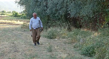Batman'da boş havuza düşen tilki kurtarıldı