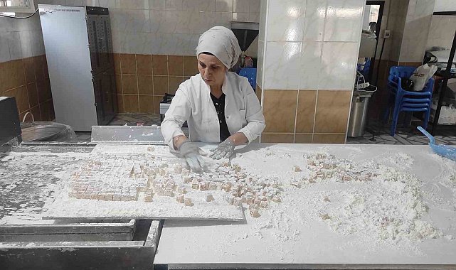 Batman'da girişimci kadınlar, organik çilek lokumu üretiyor