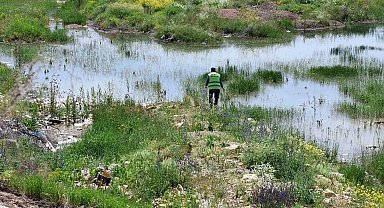 Bayburt'ta kene, bit, pire ve larvalara karşı çalışma başlatıldı