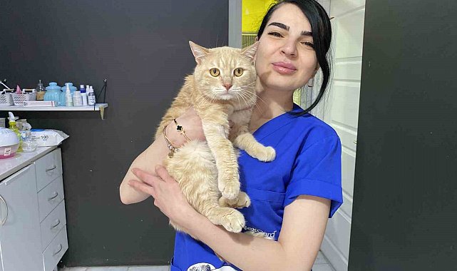 Bayramda evcil hayvan ile seyahat edecek yolcuların dikkat etmesi gerekenler