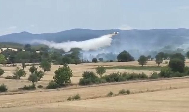 Bayramiç'te tarım arazisinde çıkan yangın kontrol altına alındı