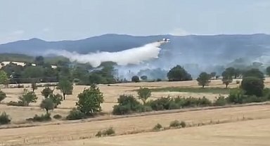 Bayramiç'te tarım arazisinde çıkan yangın kontrol altına alındı