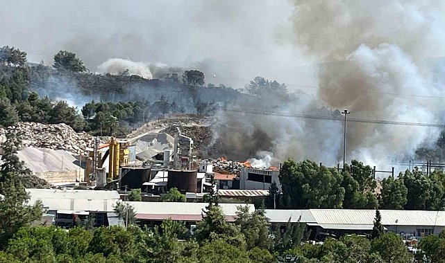 Belediyelerin çöpleri orman yangınına sebep oldu
