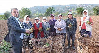 Beyağaç'ta tütün kırım ve biçerdöver ücretleri belirlendi
