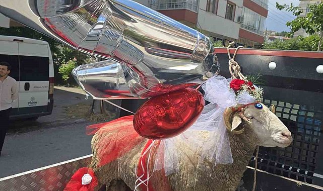 Beypazarı'nda gelin adaylarına 'koç gönderme' geleneği devam ediyor