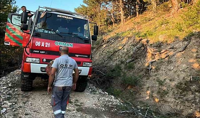 Beypazarı'nda orman yangını