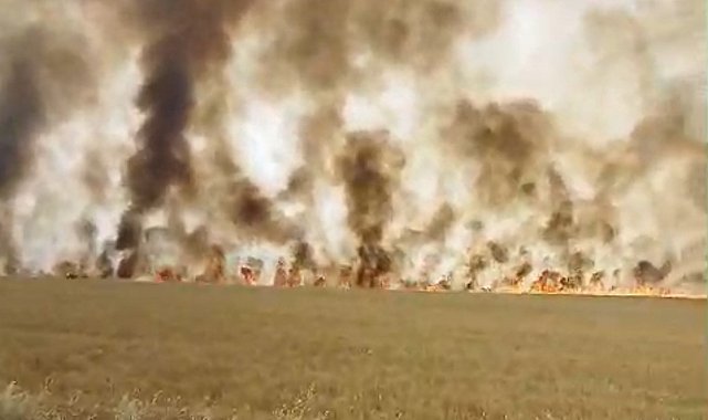 Biçerdöver patozuna giren tel yangına neden oldu, biçilmemiş buğday kül oldu