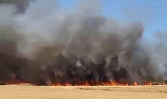 Biga'da tarım arazisinde yangın çıktı