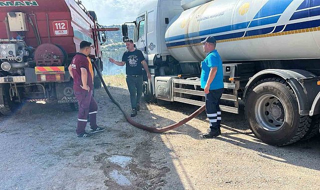 Bigadiç Çamköy'de orman yangını