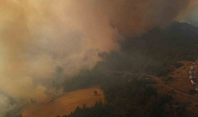 Bilecik yangını sürüyor