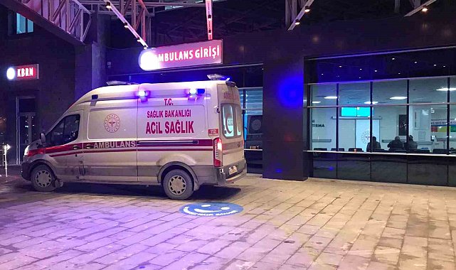 Bilecik'te 186 acemi kasap hastanelik oldu