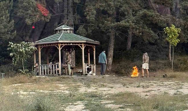 Bilecik'te 3 gündür süren orman yangınının ardından bu görüntüler 'pes' dedirtti