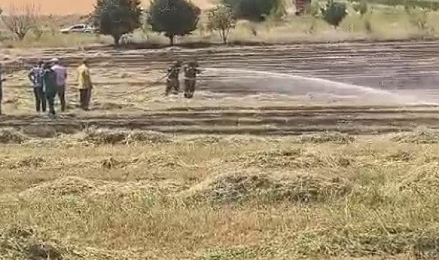 Bilecik'te anız yangını söndürüldü