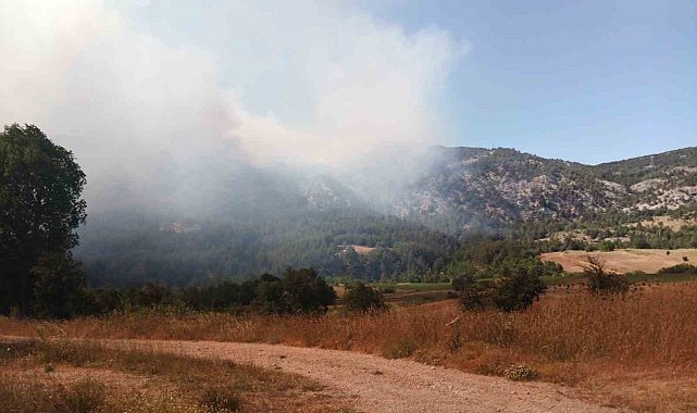 Bilecik'te başlayan orman yangını hızla büyüyor