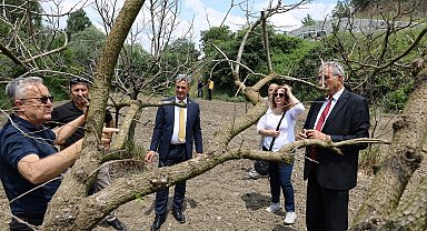 Bilecik'te meyve bahçelerinde don zararına karşı eğitim düzenlendi