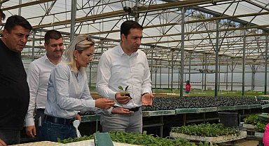 Bilecik'te "Enginar Fide" projesi