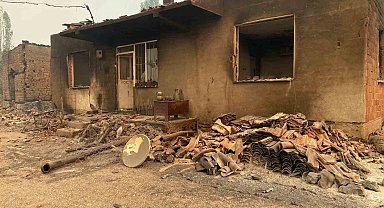 Bilecik'teki orman yangınında bir köy kül oldu