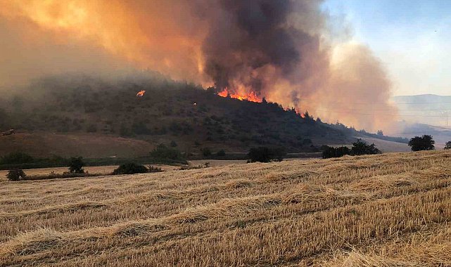 Bilecik'teki yangın kontrol altına alındı: 50 hektar alan zarar gördü