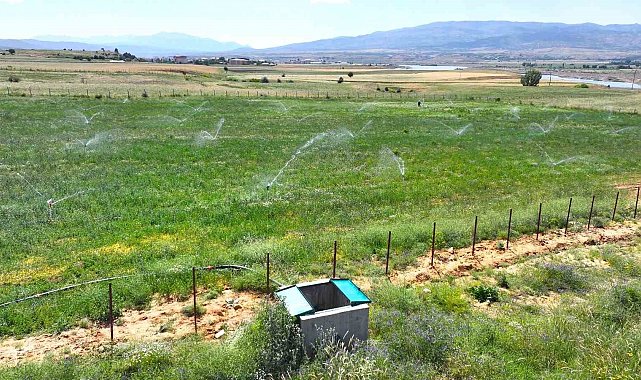 Bingöl'de 182 bin dekar alan sulanacak