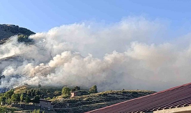 Bingöl'de ağaçlık alanda yangın