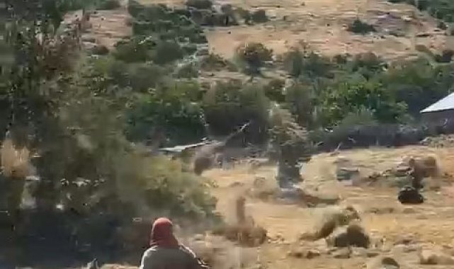 Bingöl'de hortum otları uçurdu