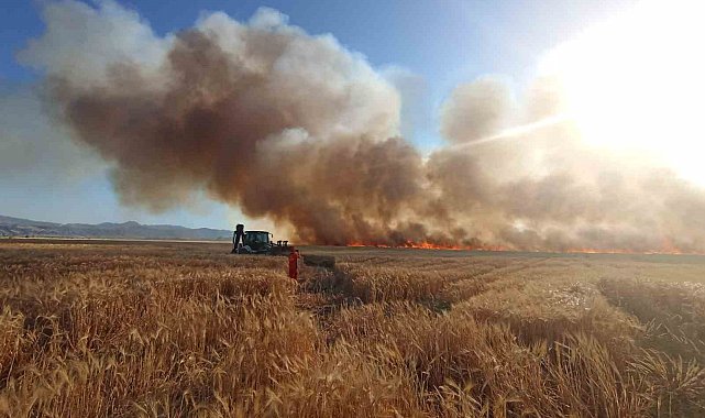Bingöl'de onlarca dönüm ekili arazi küle döndü