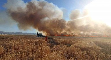Bingöl'de onlarca dönüm ekili arazi küle döndü