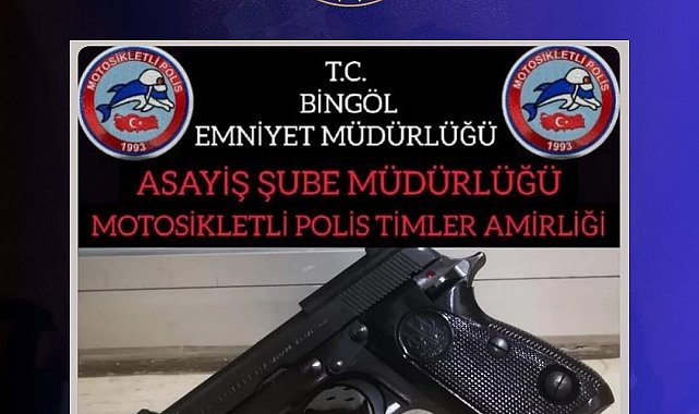 Bingöl'de ruhsatsız silah operasyonu
