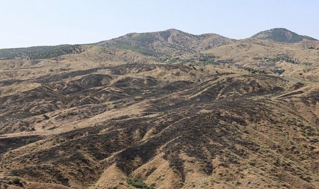Bingöl'deki orman yangını söndürüldü