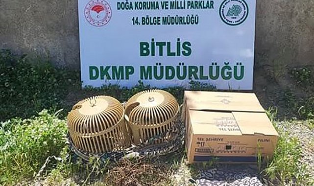Bitlis'te kaçak keklik aylayan kişiye 63 bin TL idari para cezası uygulanacak