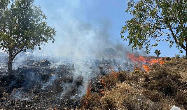 Bodrum Türkbükü'nde makilik yangını