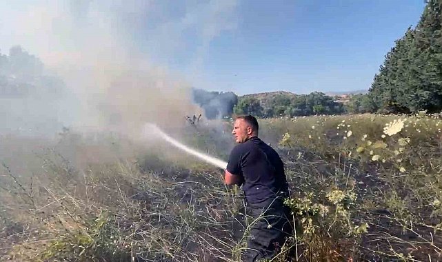 Bodrum'da otluk alandaki yangın kontrol altına alındı