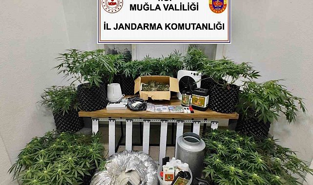 Bodrum'da uyuşturucu baskını: 2 gözaltı