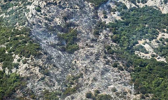 Bodrum'daki yangının önü kesildi, kontrol altına alınmaya çalışılıyor