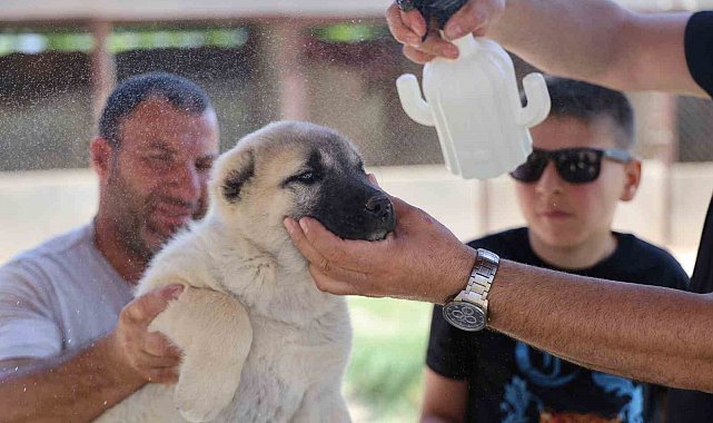 Bölgenin kabusu olan kenelerden korunmak için doğal karışım hazırladı
