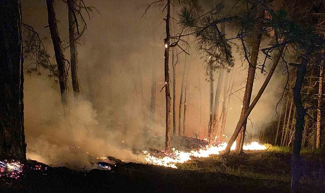 Bolu'daki orman yangını büyüyor: Karadan müdahale sürüyor