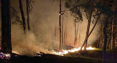 Bolu'daki orman yangını büyüyor: Karadan müdahale sürüyor