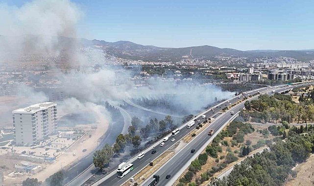 Bornova'da otluk alanda yangın