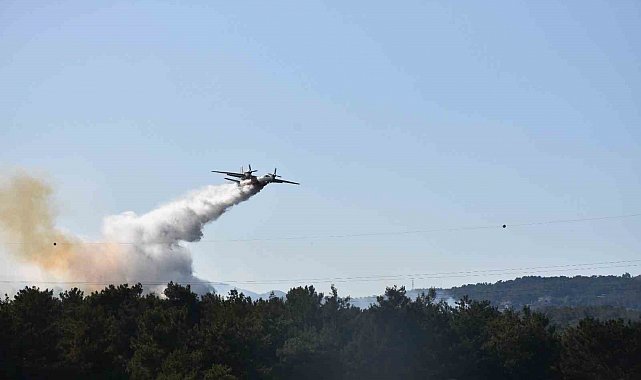Bornova'daki orman yangını soruşturmasında 2 tutuklama