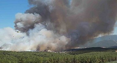 Bornova'daki yangın büyüdü; 8 uçak ve 17 helikopterle müdahale sürüyor
