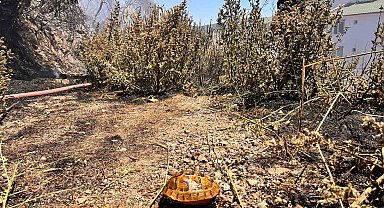 Boş araziden alevler yükseldi, vatandaşlar ve ekipler seferber oldu